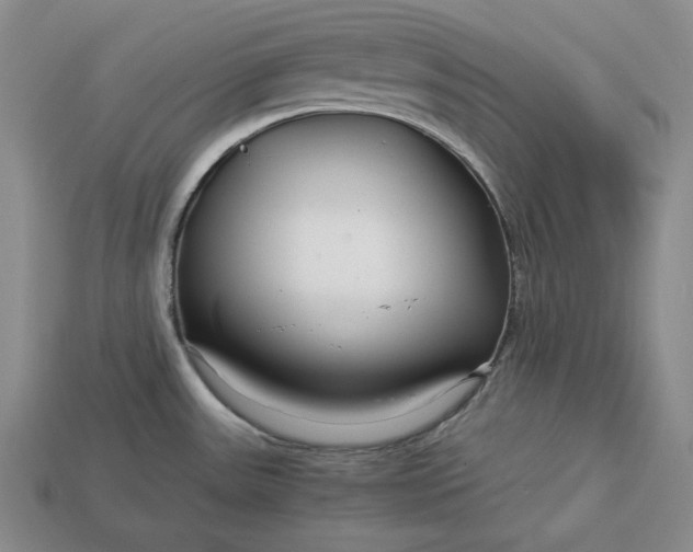 X0000112881531200909111433