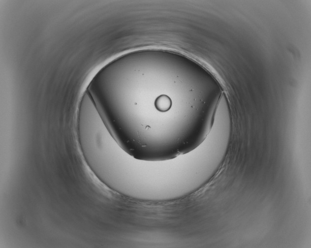 X0000112881532200909111433