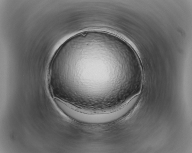 X0000112881533200909111433