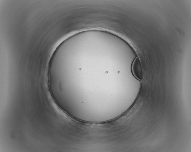 X0000112881534200909111433