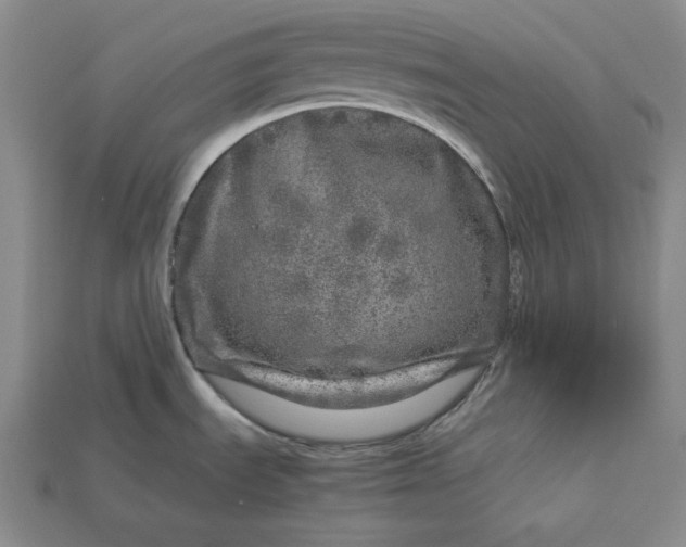 X0000112881535200909111433