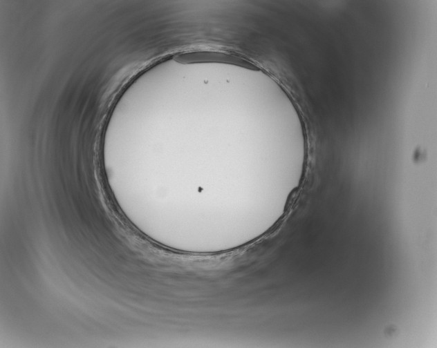 X0000112880001200909181859