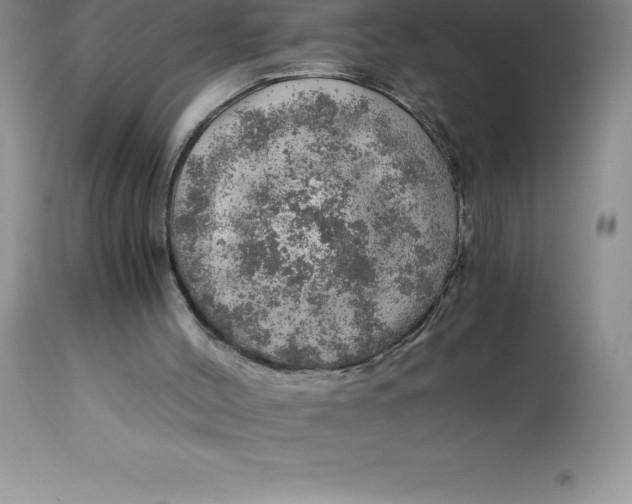 X0000112880004200909181859