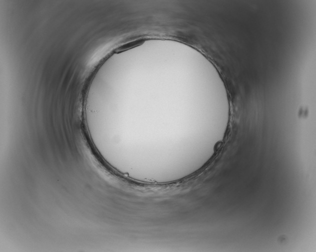 X0000112880005200909181859