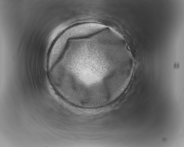 X0000112880006200909181859