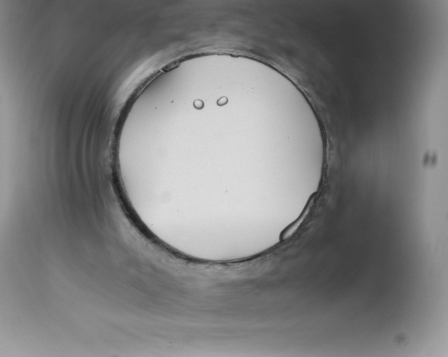 X0000112880007200909181859