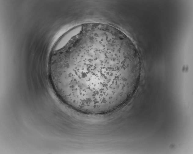 X0000112880008200909181859