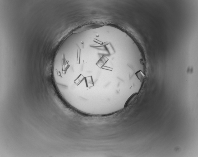 X0000112880009200909181859