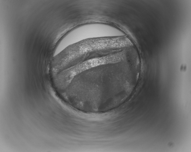 X0000112880010200909181859