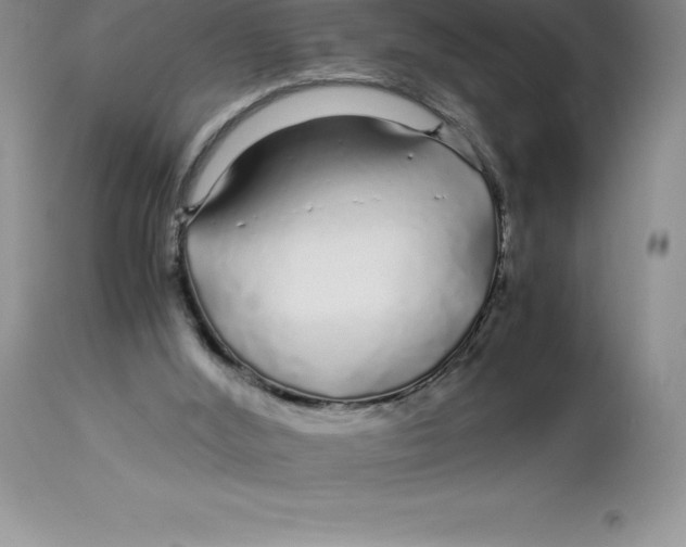 X0000112880012200909181859