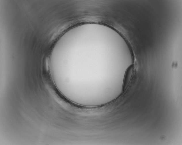 X0000112880013200909181859