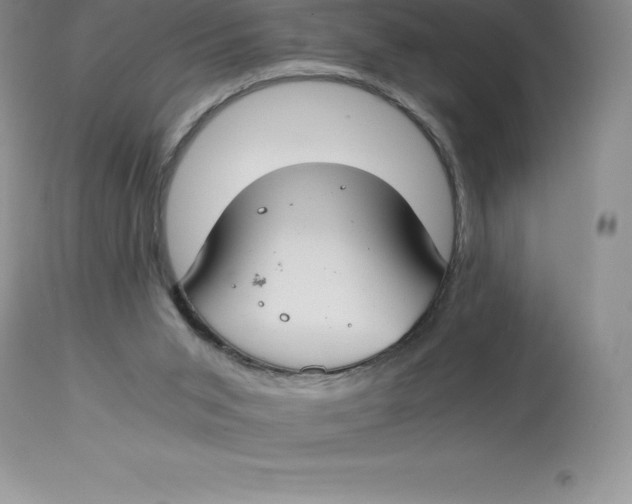 X0000112880015200909181859