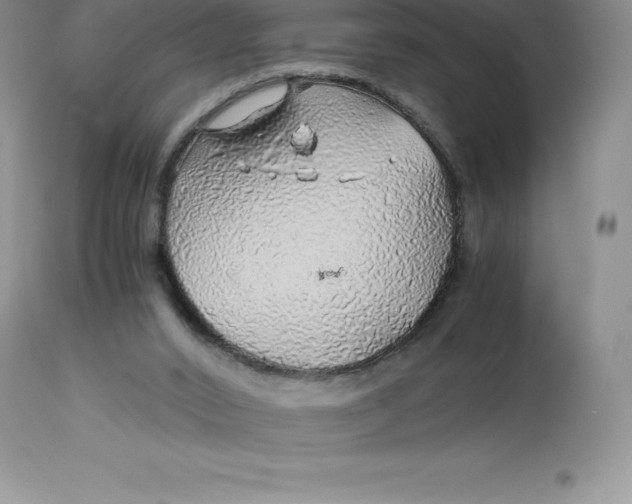 X0000112880016200909181859