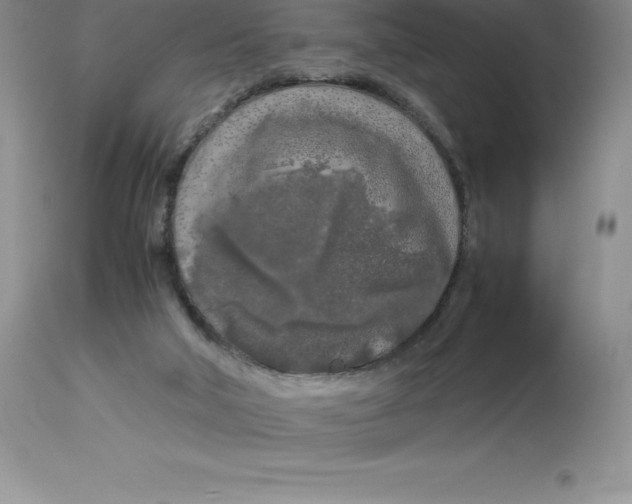 X0000112880018200909181859