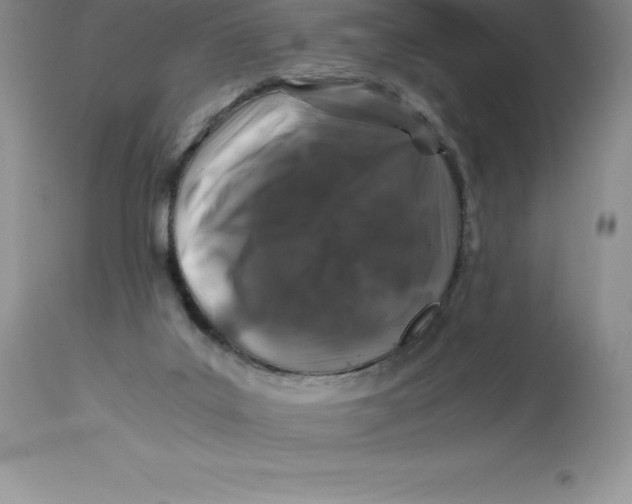 X0000112880019200909181859