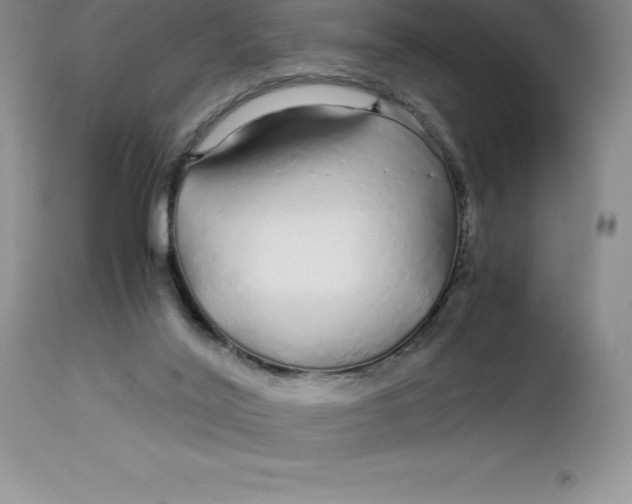 X0000112880020200909181859