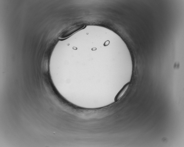 X0000112880021200909181859