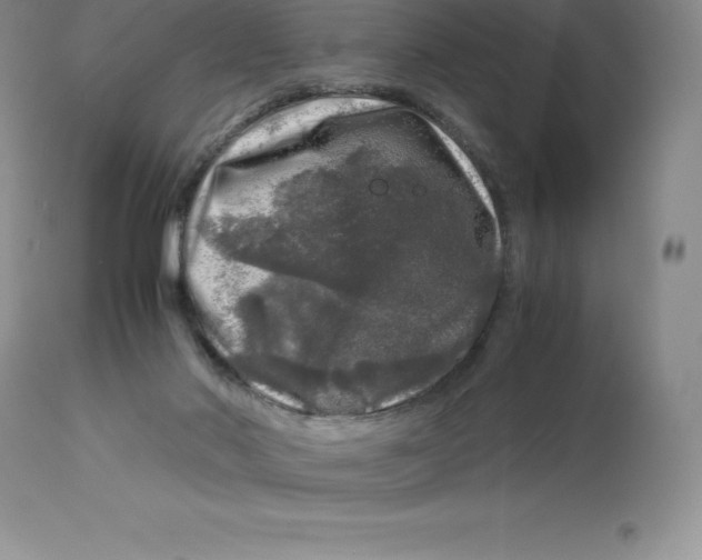 X0000112880022200909181859