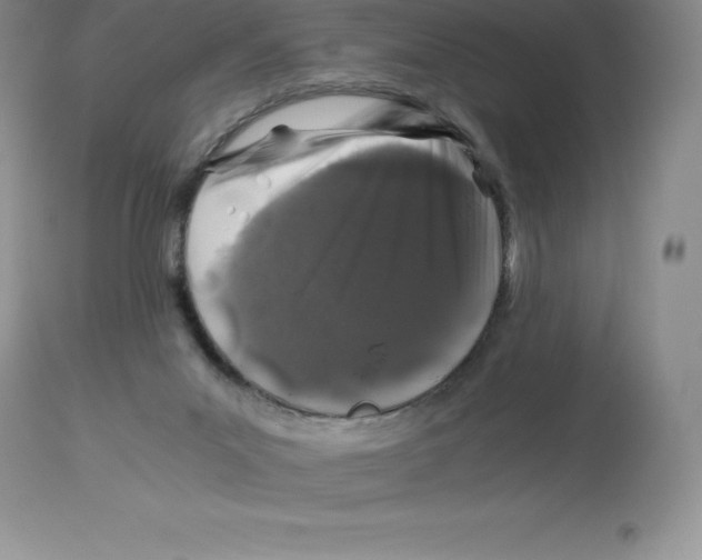 X0000112880023200909181859