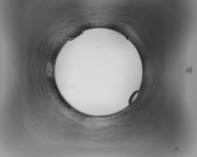 X0000112880025200909181859