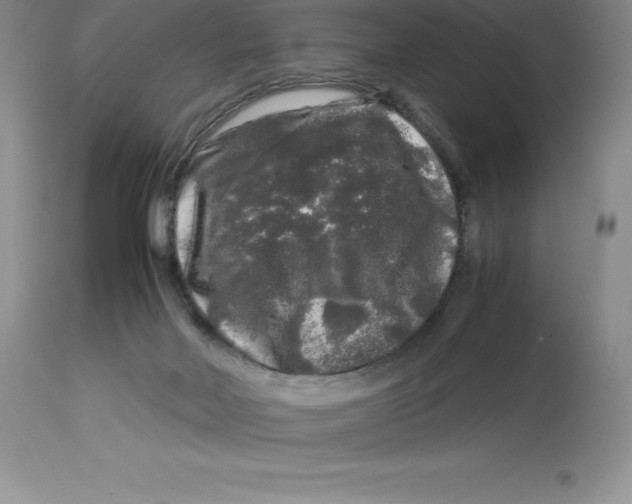 X0000112880026200909181859