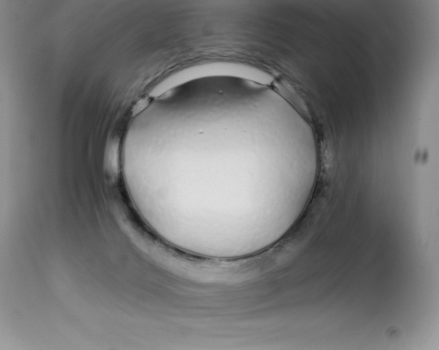 X0000112880028200909181859