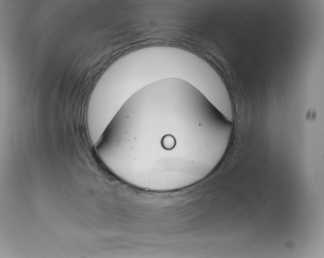 X0000112880029200909181859