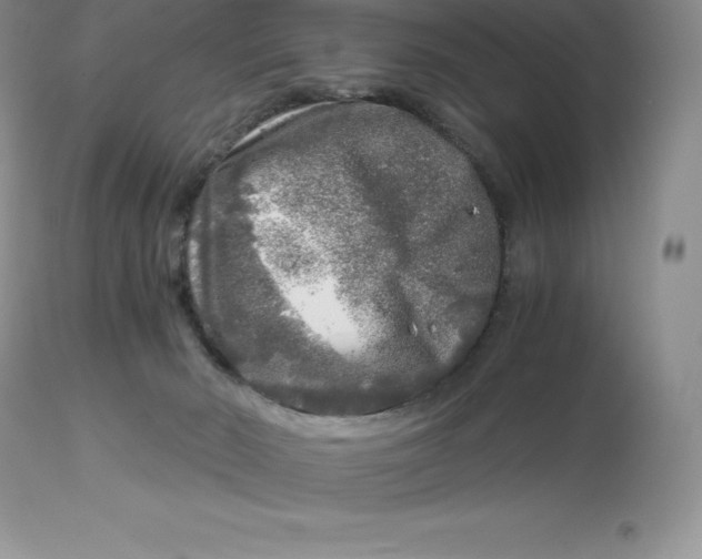 X0000112880030200909181859