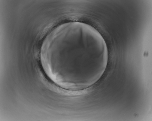 X0000112880031200909181859