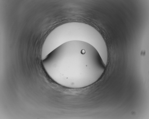 X0000112880033200909181859