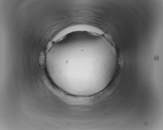 X0000112880036200909181858