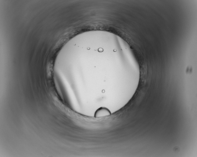 X0000112880038200909181858