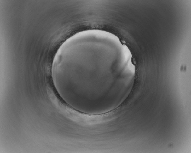 X0000112880039200909181858