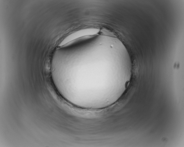 X0000112880040200909181858