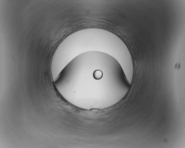 X0000112880041200909181858