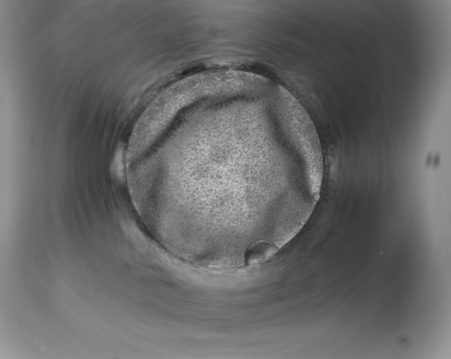 X0000112880042200909181858