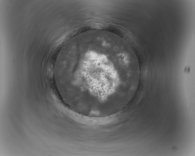 X0000112880043200909181858