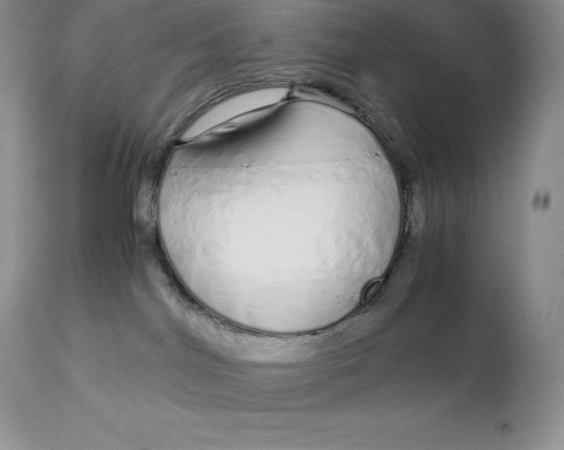 X0000112880044200909181858