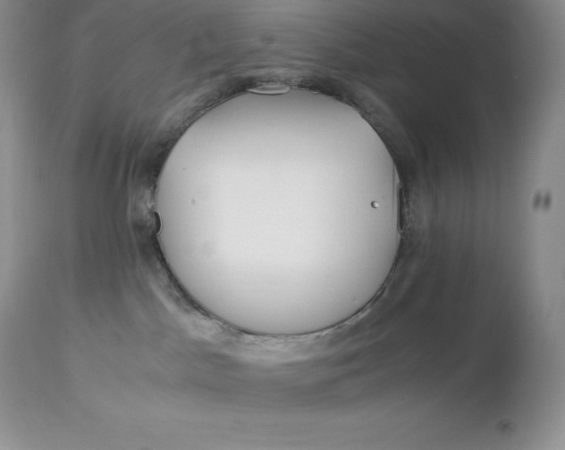 X0000112880045200909181858