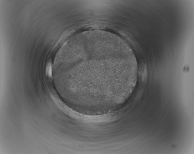 X0000112880046200909181858