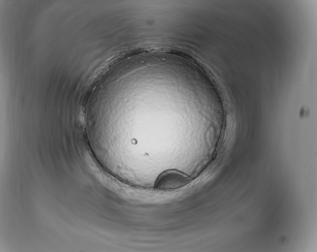 X0000112880048200909181858