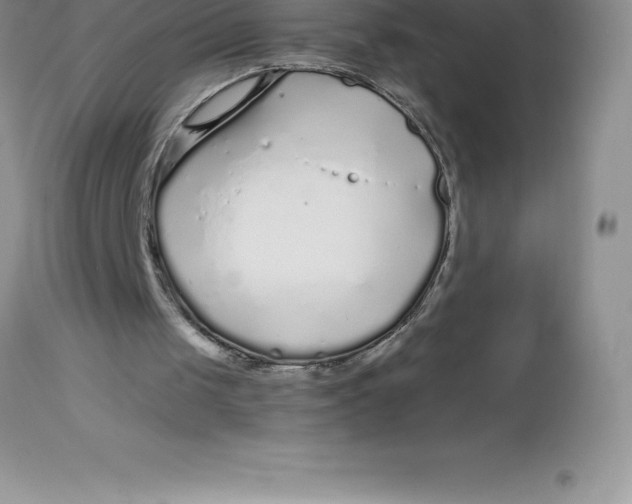 X0000112880049200909181858