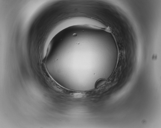 X0000112880050200909181858