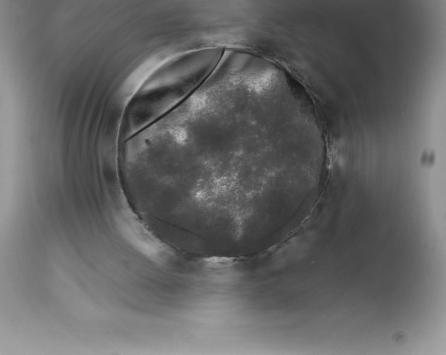 X0000112880052200909181858