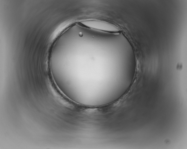 X0000112880054200909181858