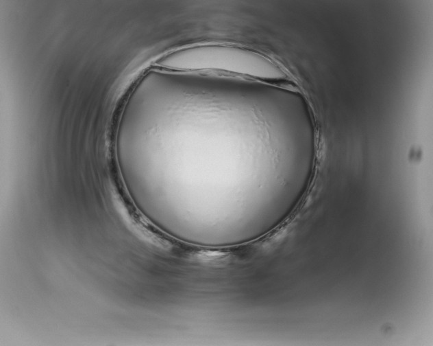 X0000112880055200909181858