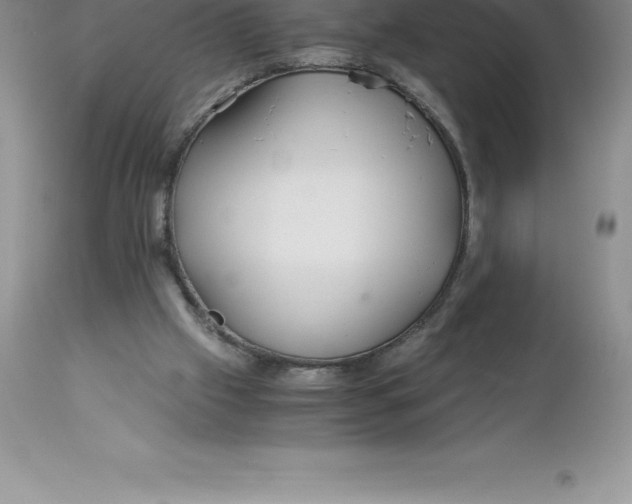 X0000112880057200909181858