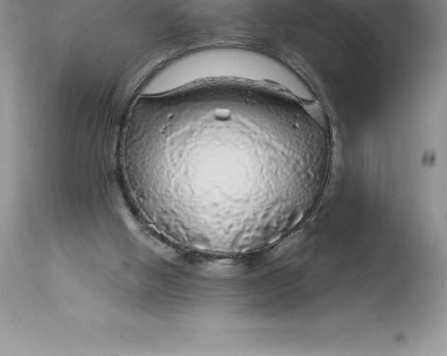 X0000112880058200909181858