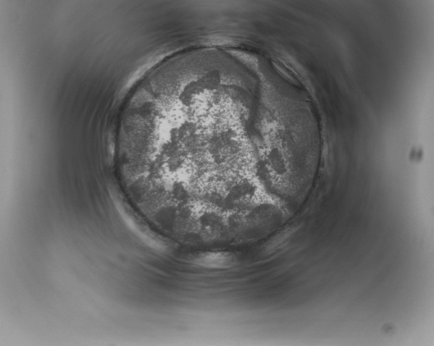 X0000112880059200909181858