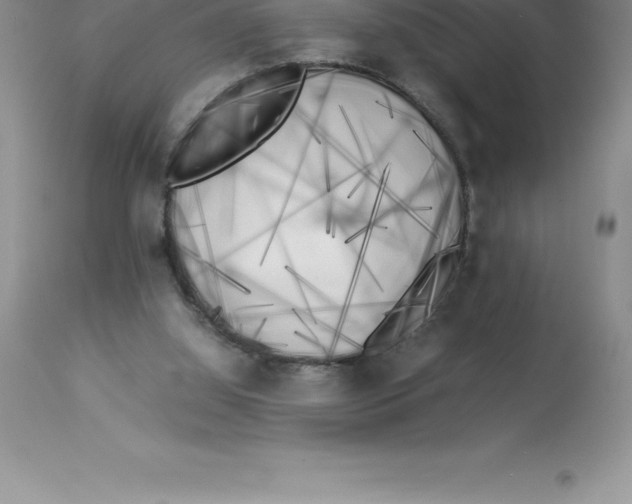 X0000112880060200909181858